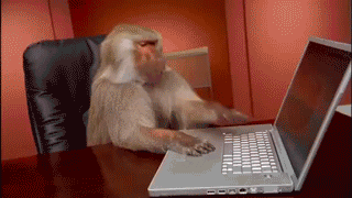Click The Monkey